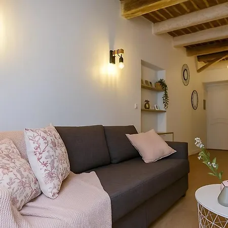 Apartment Provencal - Vieil *