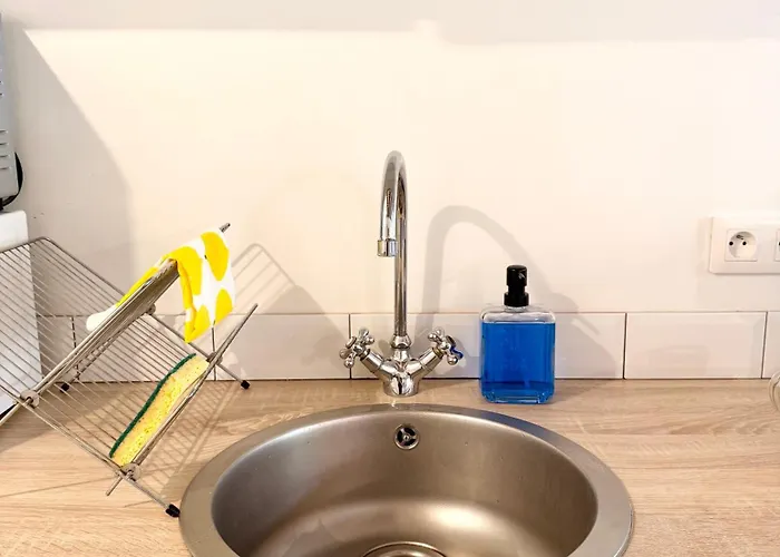 公寓 Provencal - Vieil *